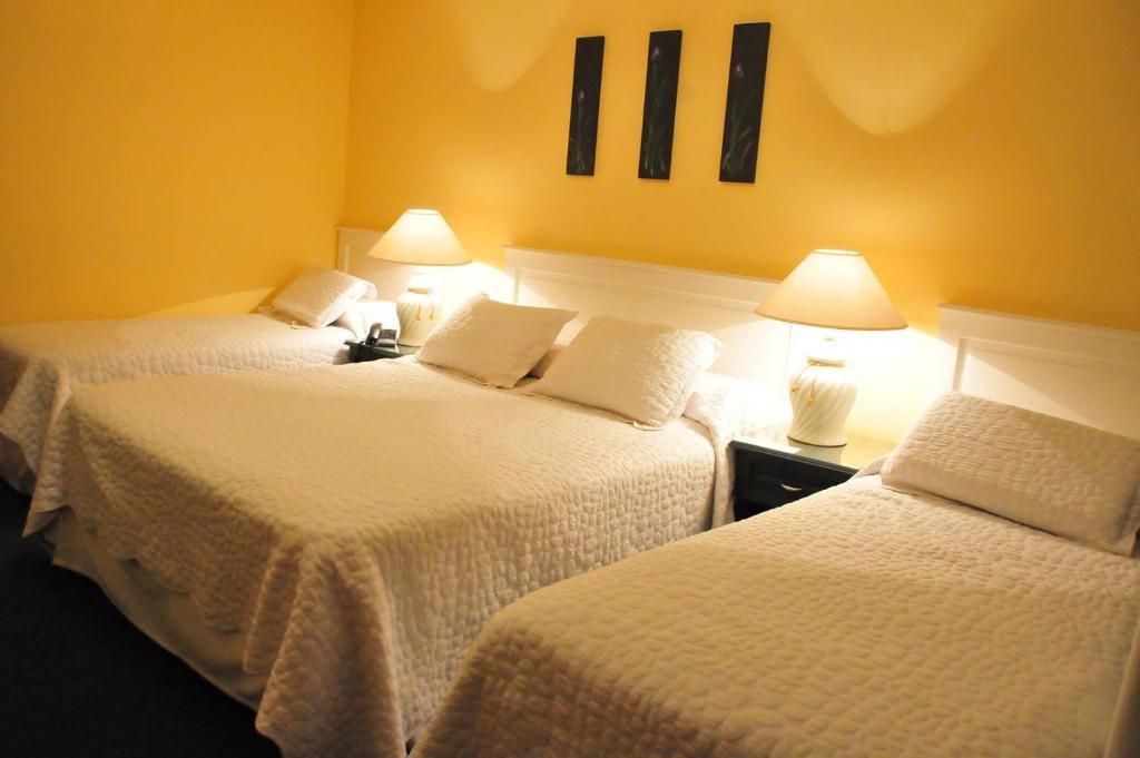 Hotel Urbano Carmelo Rum bild